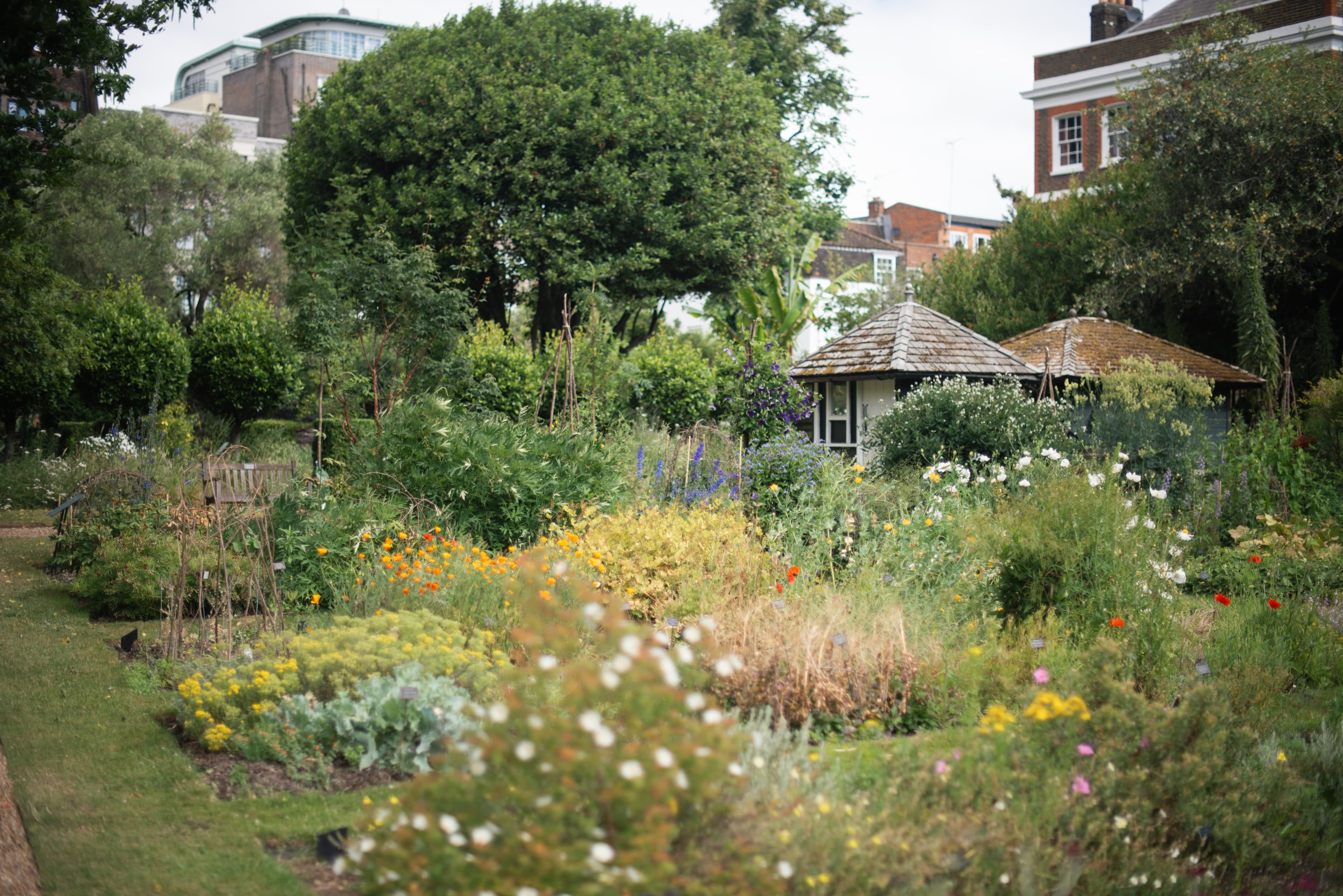 A view of Chelsea Physic Garden