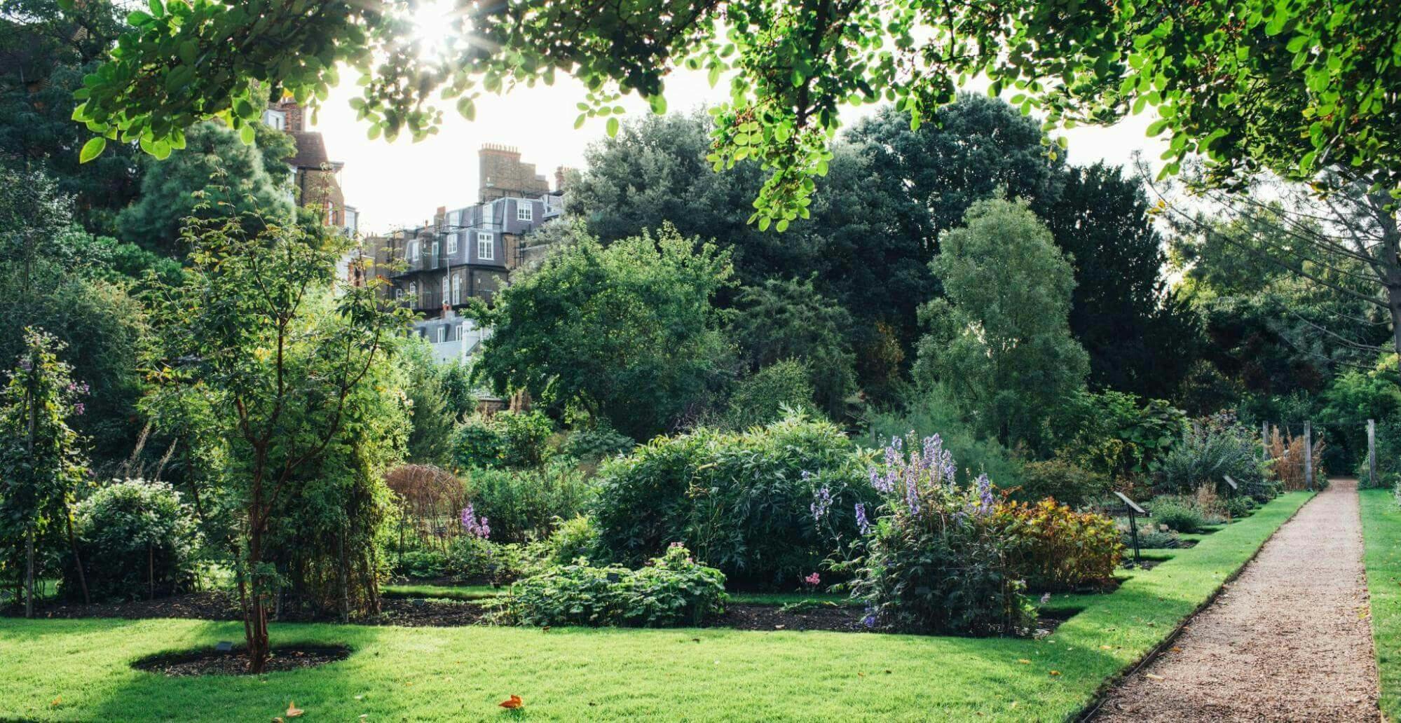 A view of Chelsea Physic Garden